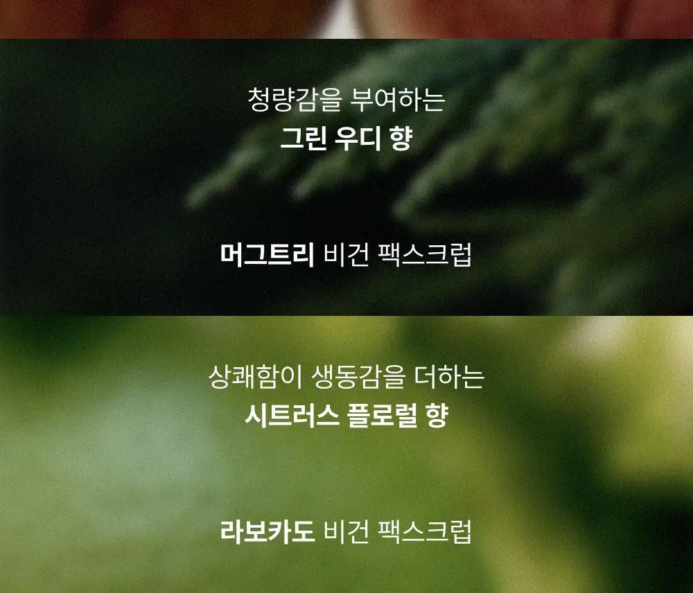 [저자극 스크럽] 휩드 비건 팩스크럽 210g (3종 중 택1) 상세페이지 18